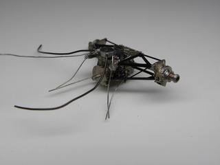 DSCN1100.JPG