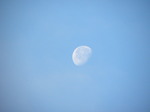 DSCN3591.JPG