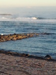 IMG_2131.jpg
