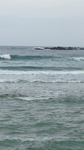 IMG_2249.png