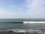 IMG_2302.JPG