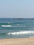 IMG_2661.jpg