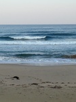 IMG_3118.jpg