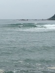 IMG_3805.jpg