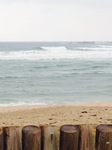 IMG_4506.JPG