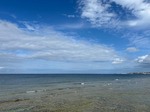 IMG_4579.jpg