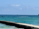 IMG_4656.jpg