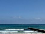 IMG_4658.jpg