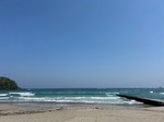 IMG_4692.jpg
