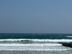 IMG_4697.jpg