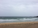 IMG_6491.JPG