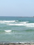IMG_8832.jpg